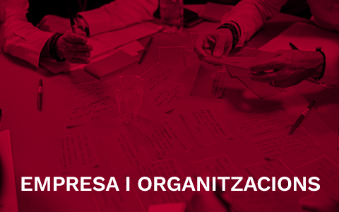 Empresa i organitzacions
