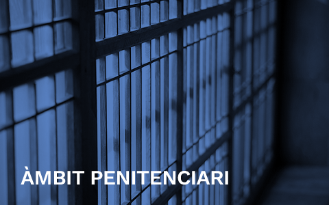 Àmbit penitenciari